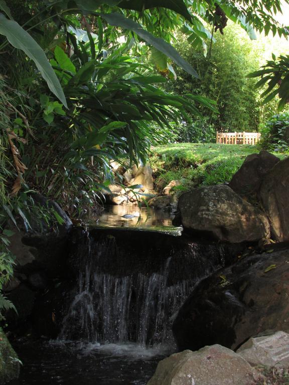 The Haven - Hotel & Spa, - Adults Only Boquete Exterior photo