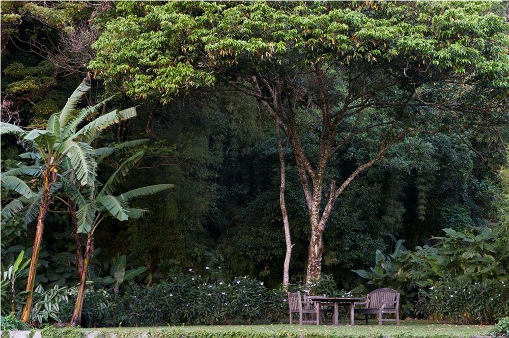 The Haven - Hotel & Spa, - Adults Only Boquete Exterior photo