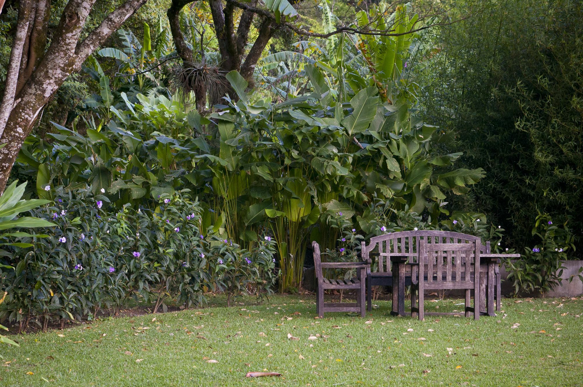 The Haven - Hotel & Spa, - Adults Only Boquete Exterior photo