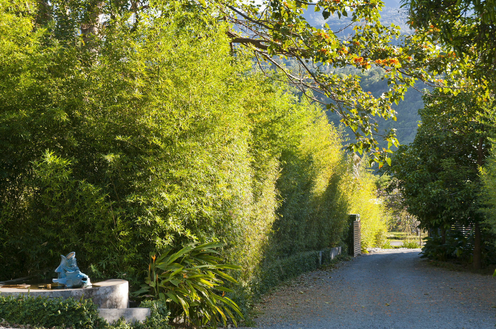 The Haven - Hotel & Spa, - Adults Only Boquete Exterior photo